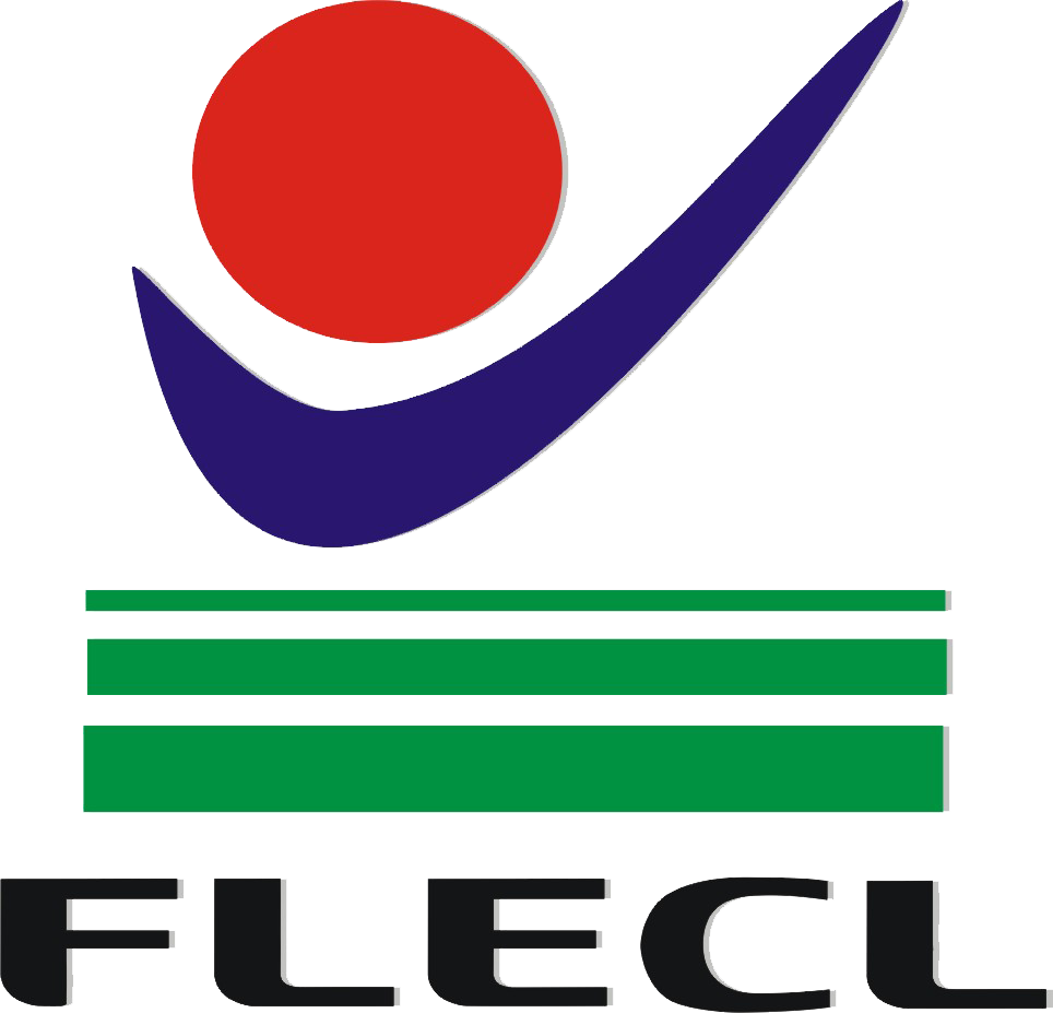 flecl-tv.com